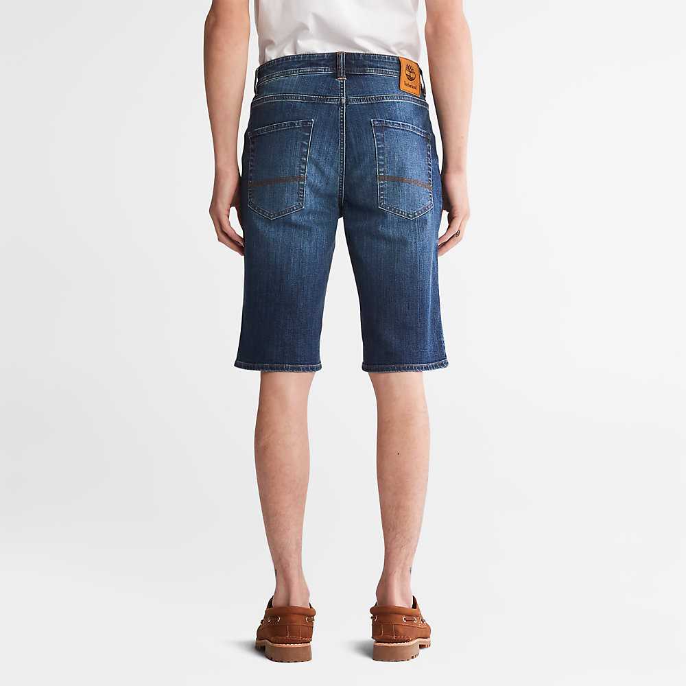 Indigo Men's Timberland Canobie Lake Shorts | Israel-9237518