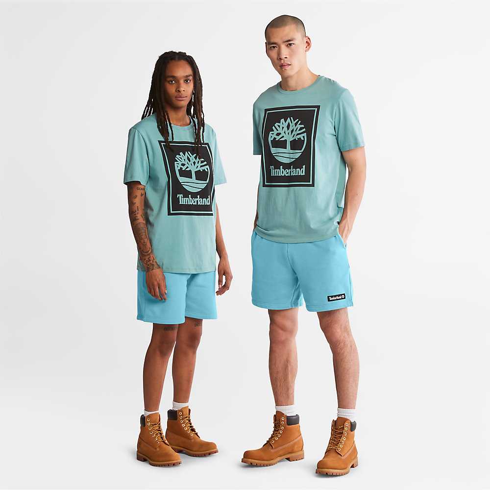 Light Blue Men's Timberland Tree Logo T Shirts | Israel-1589034