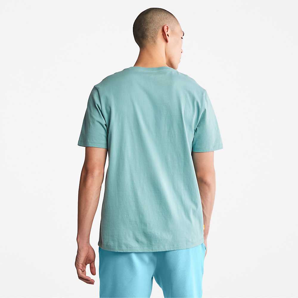 Light Blue Men's Timberland Tree Logo T Shirts | Israel-1589034