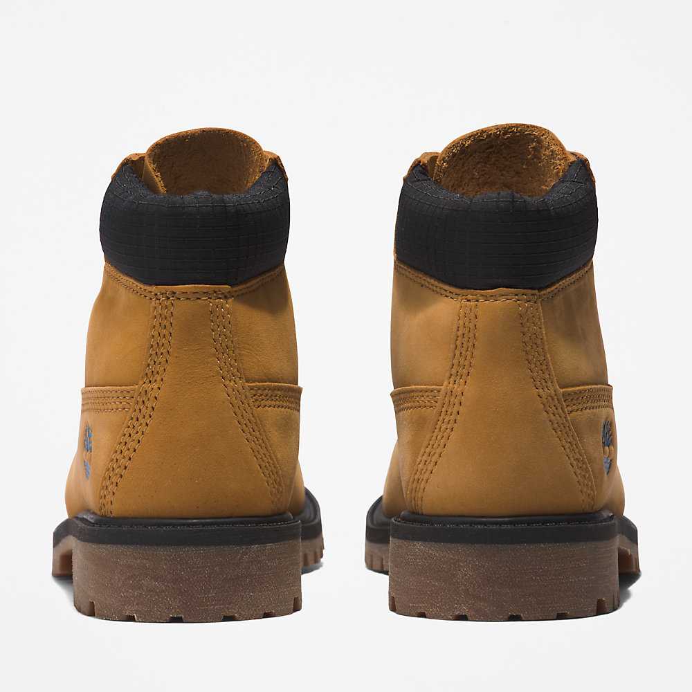 Light Brown Kids' Timberland Premium® 6 Inch Waterproof Boots | Israel-4219555