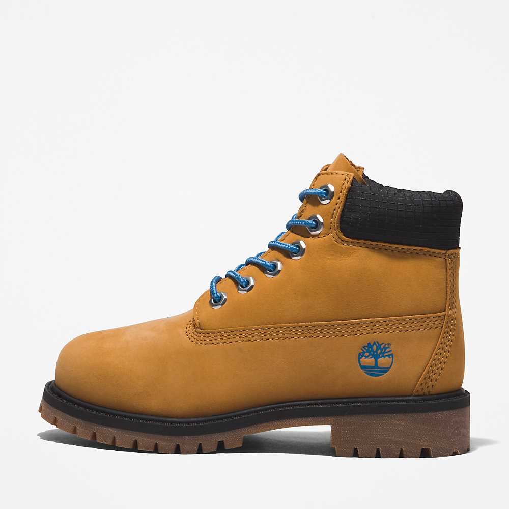 Light Brown Kids' Timberland Premium® 6 Inch Waterproof Boots | Israel-4219555