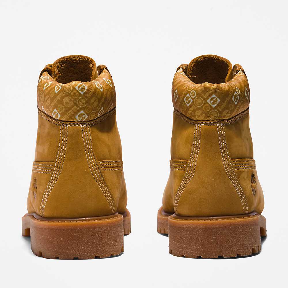 Light Brown Kids' Timberland Premium® 6 Inch Waterproof Boots | Israel-4219586