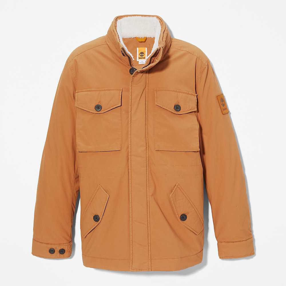 Light Brown Men's Timberland Mount Kelsey Winter Jackets | Israel-0598673