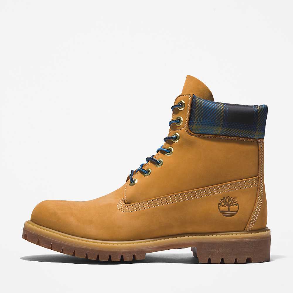 Light Brown Men's Timberland Premium® 6 Inch Waterproof Boots | Israel-0194637