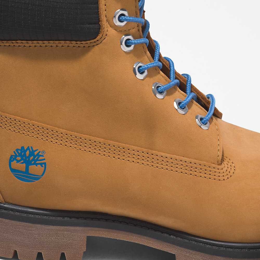 Light Brown Men's Timberland Premium® 6 Inch Waterproof Boots | Israel-3805194