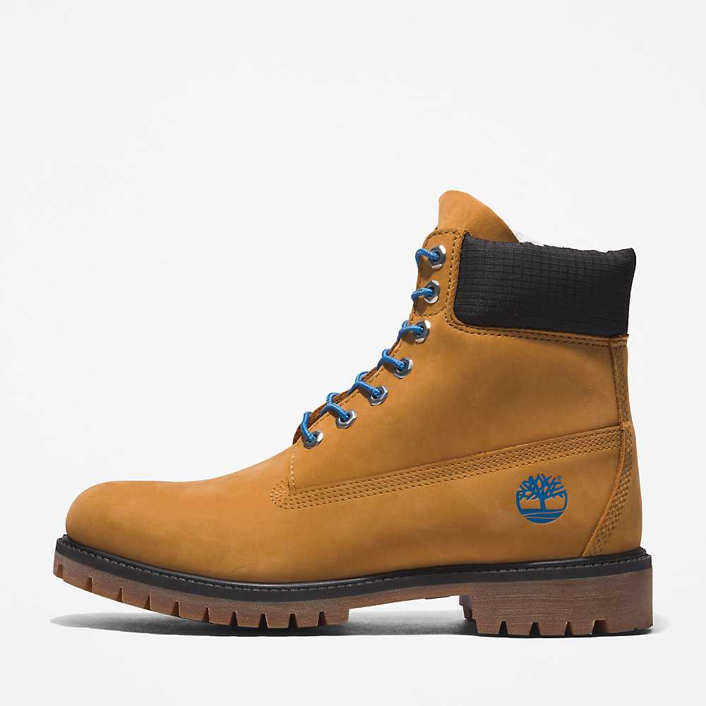 Light Brown Men's Timberland Premium® 6 Inch Waterproof Boots | Israel-3805194