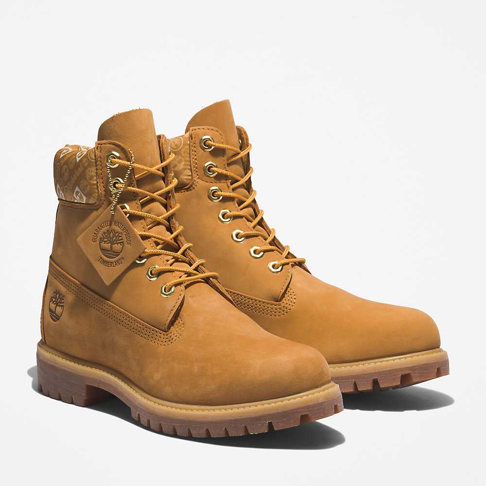 Light Brown Men's Timberland Premium® 6 Inch Waterproof Boots | Israel-9347618