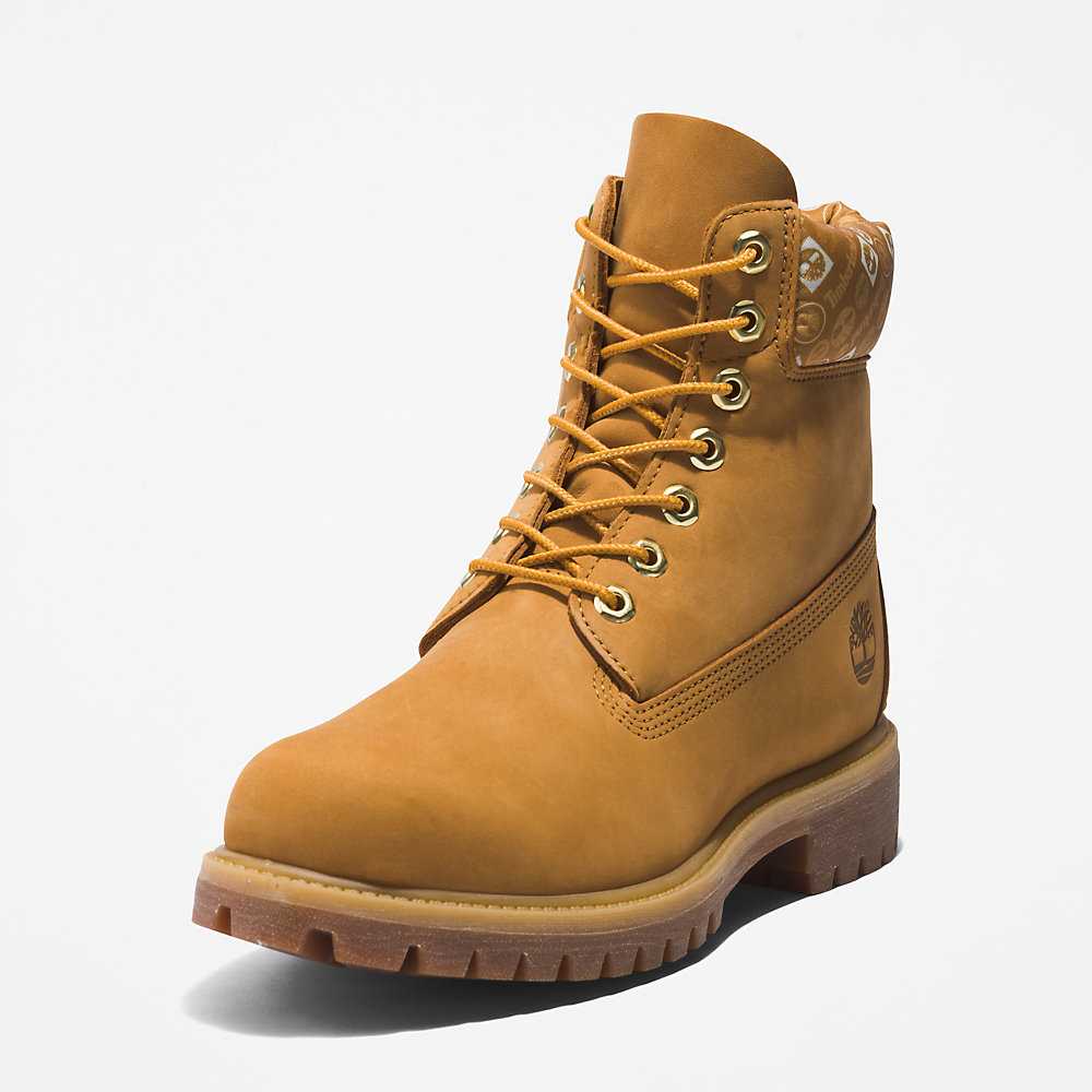 Light Brown Men's Timberland Premium® 6 Inch Waterproof Boots | Israel-9347618