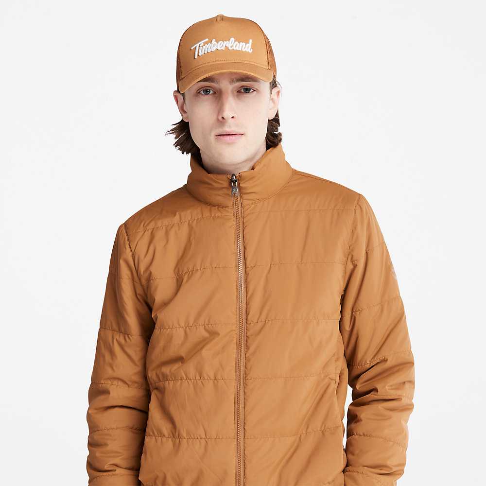 Light Brown Men's Timberland Snowdon Peak Parka Jackets | Israel-0128534