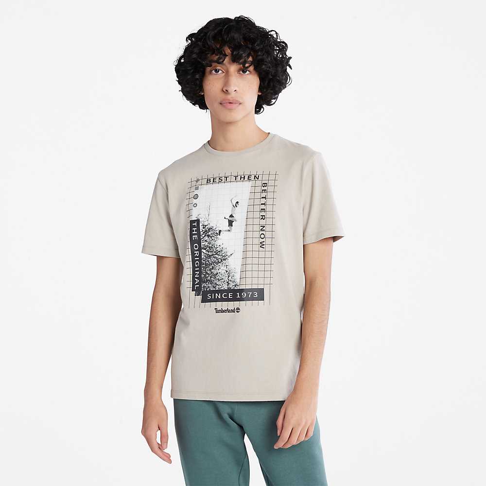 Light Grey Men's Timberland All Gender Heavyweight Front-Graphic T Shirts | Israel-4678135