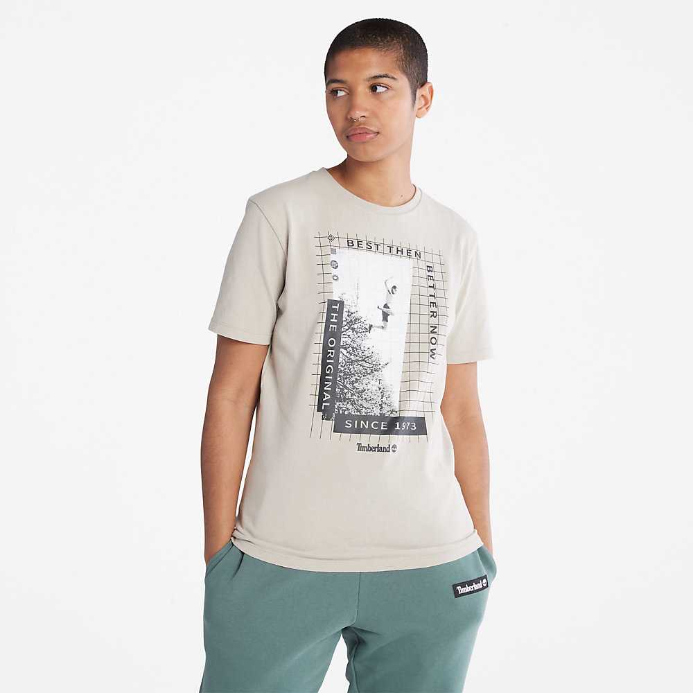 Light Grey Men's Timberland All Gender Heavyweight Front-Graphic T Shirts | Israel-4678135