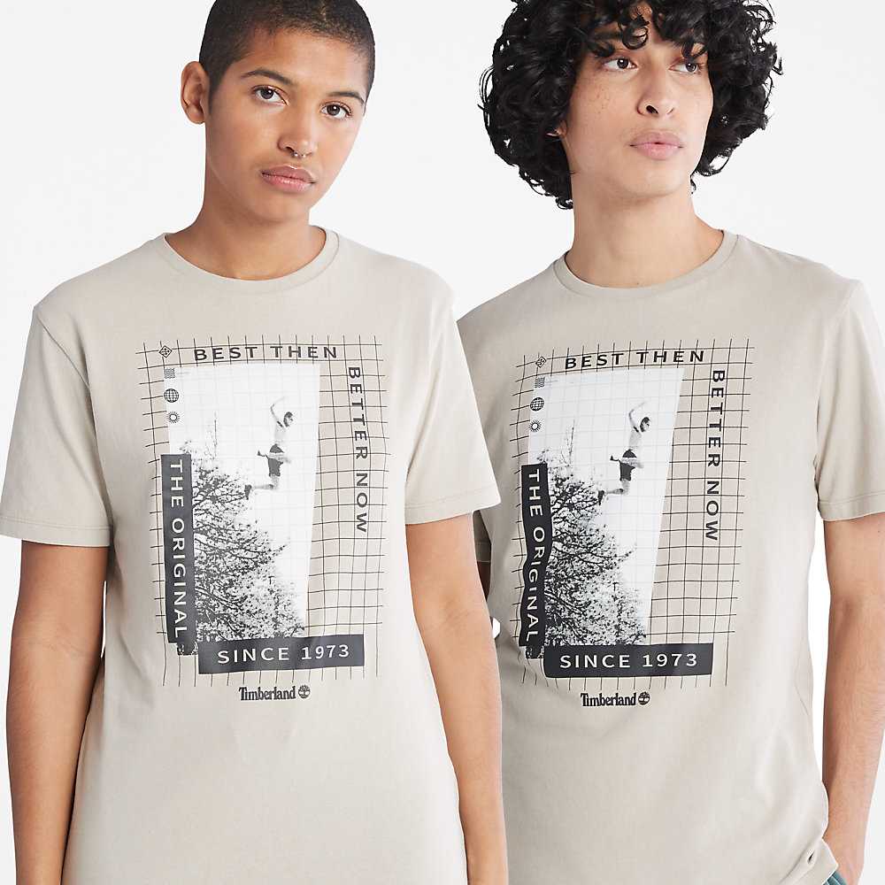 Light Grey Men's Timberland All Gender Heavyweight Front-Graphic T Shirts | Israel-4678135