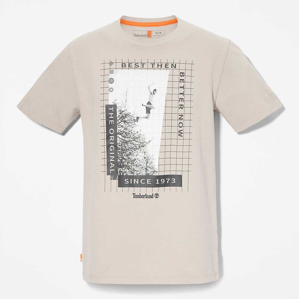 Light Grey Men's Timberland All Gender Heavyweight Front-Graphic T Shirts | Israel-4678135