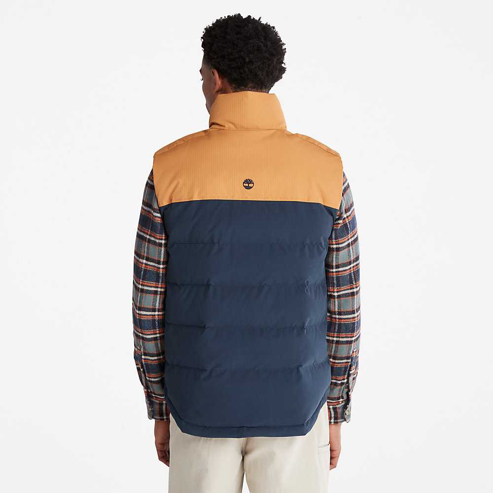 Navy Men's Timberland Welch Mountain Vest | Israel-8790165