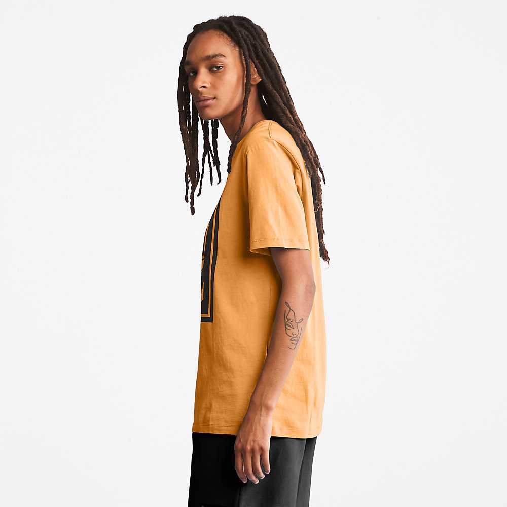 Orange/Black Women's Timberland Stack Logo T Shirts | Israel-0251349