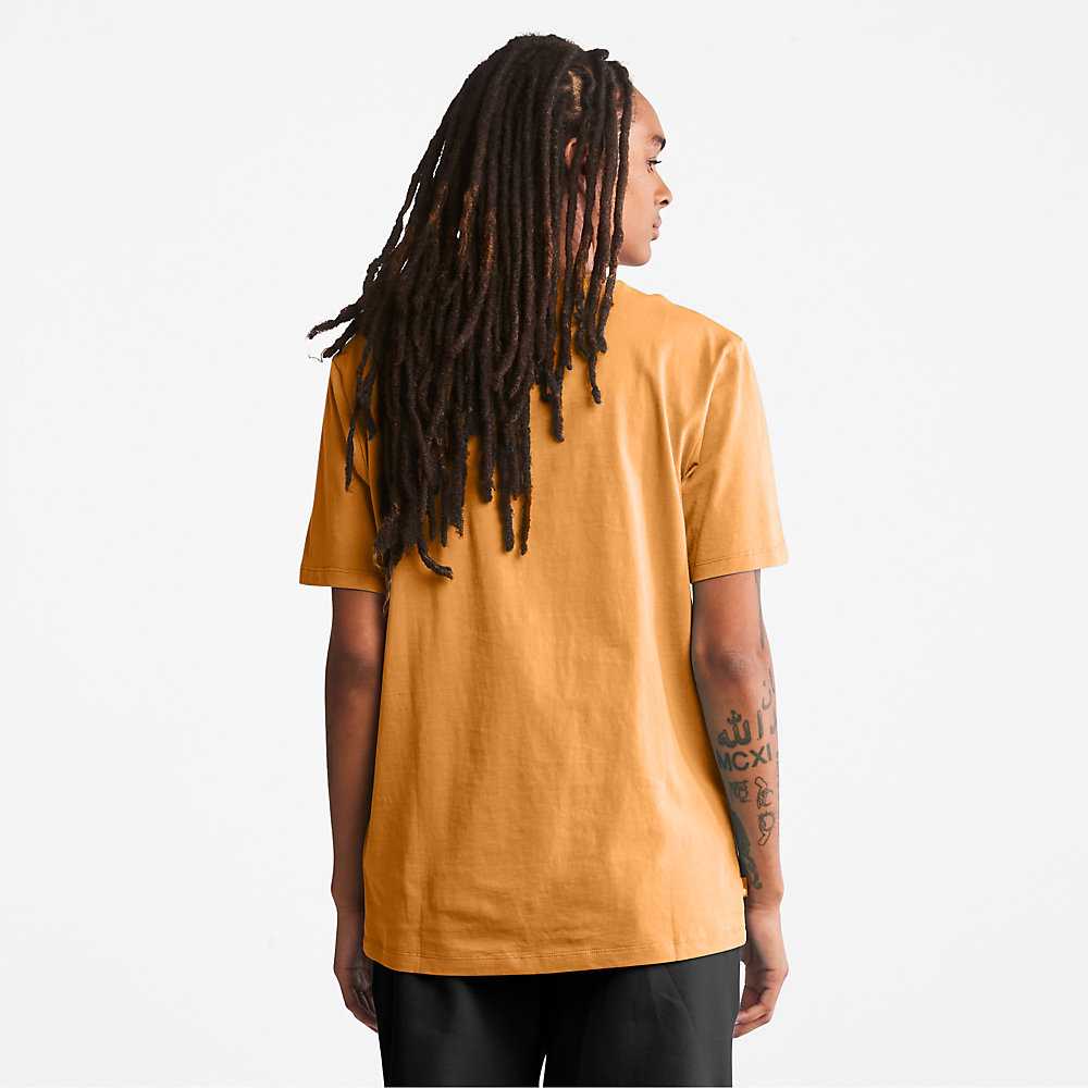 Orange/Black Women's Timberland Stack Logo T Shirts | Israel-0251349