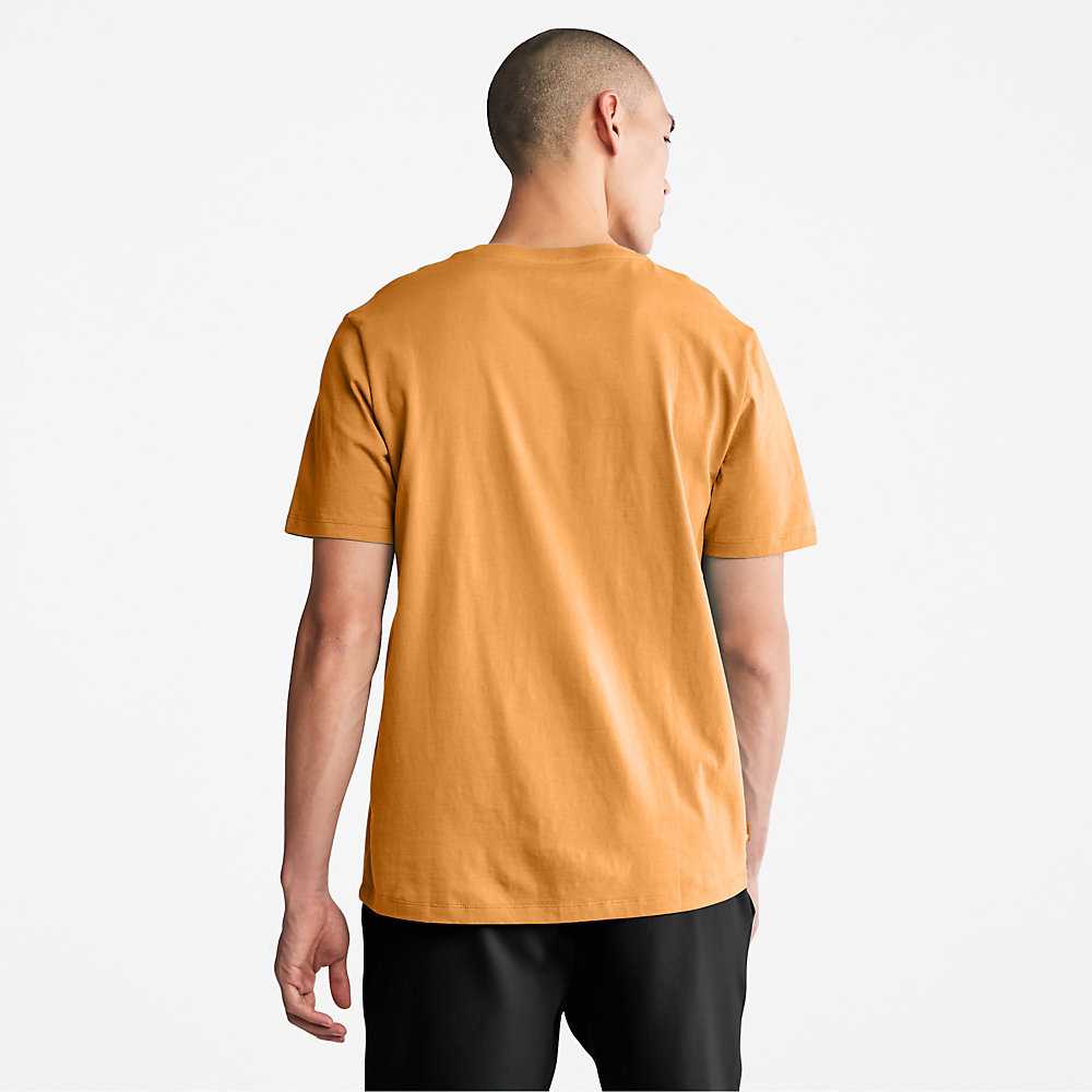 Orange/Black Women's Timberland Stack Logo T Shirts | Israel-0251349