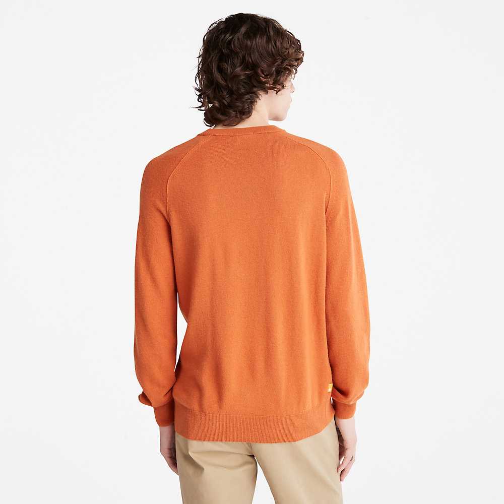 Orange Men's Timberland Crewneck Sweatshirt | Israel-0763851