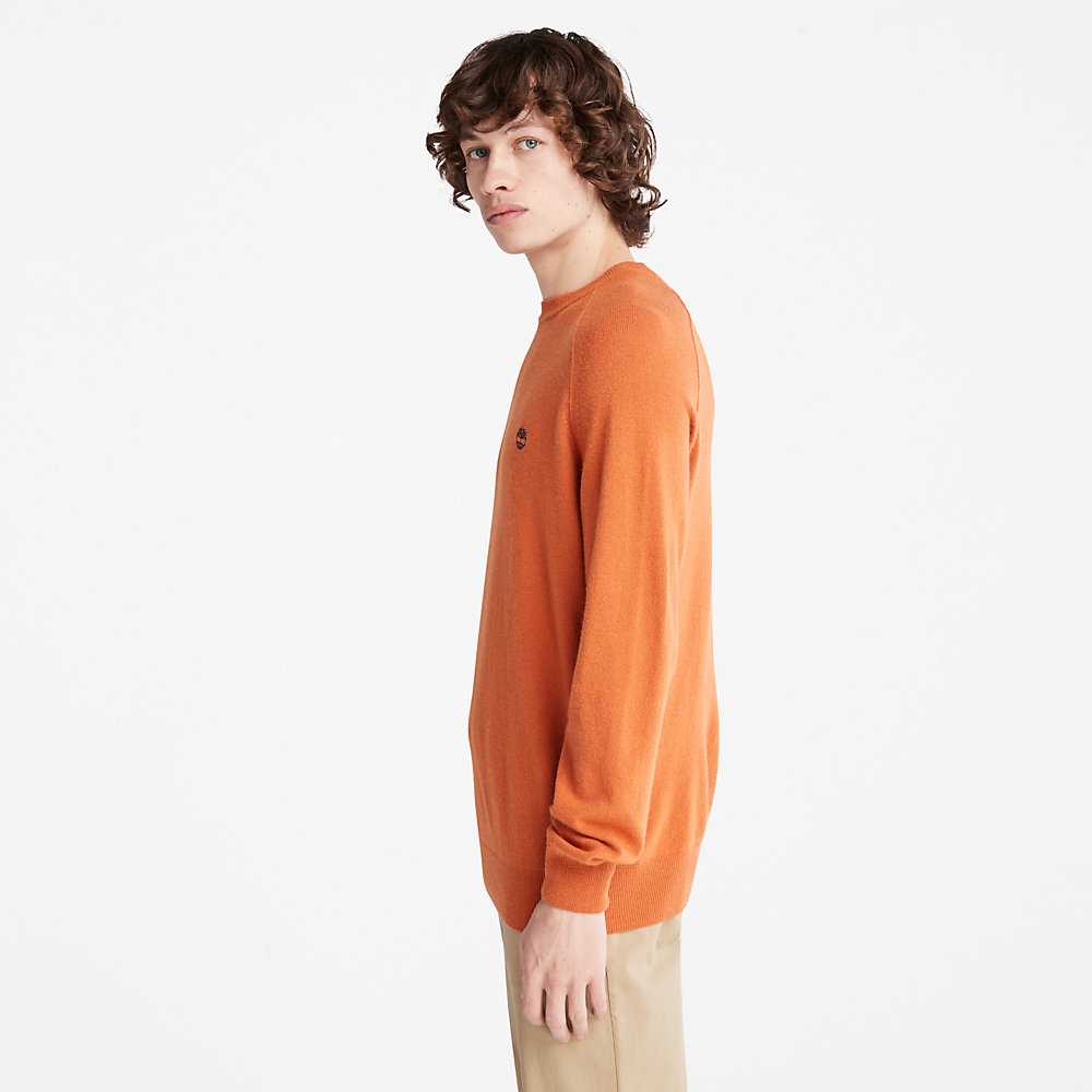 Orange Men's Timberland Crewneck Sweatshirt | Israel-0763851