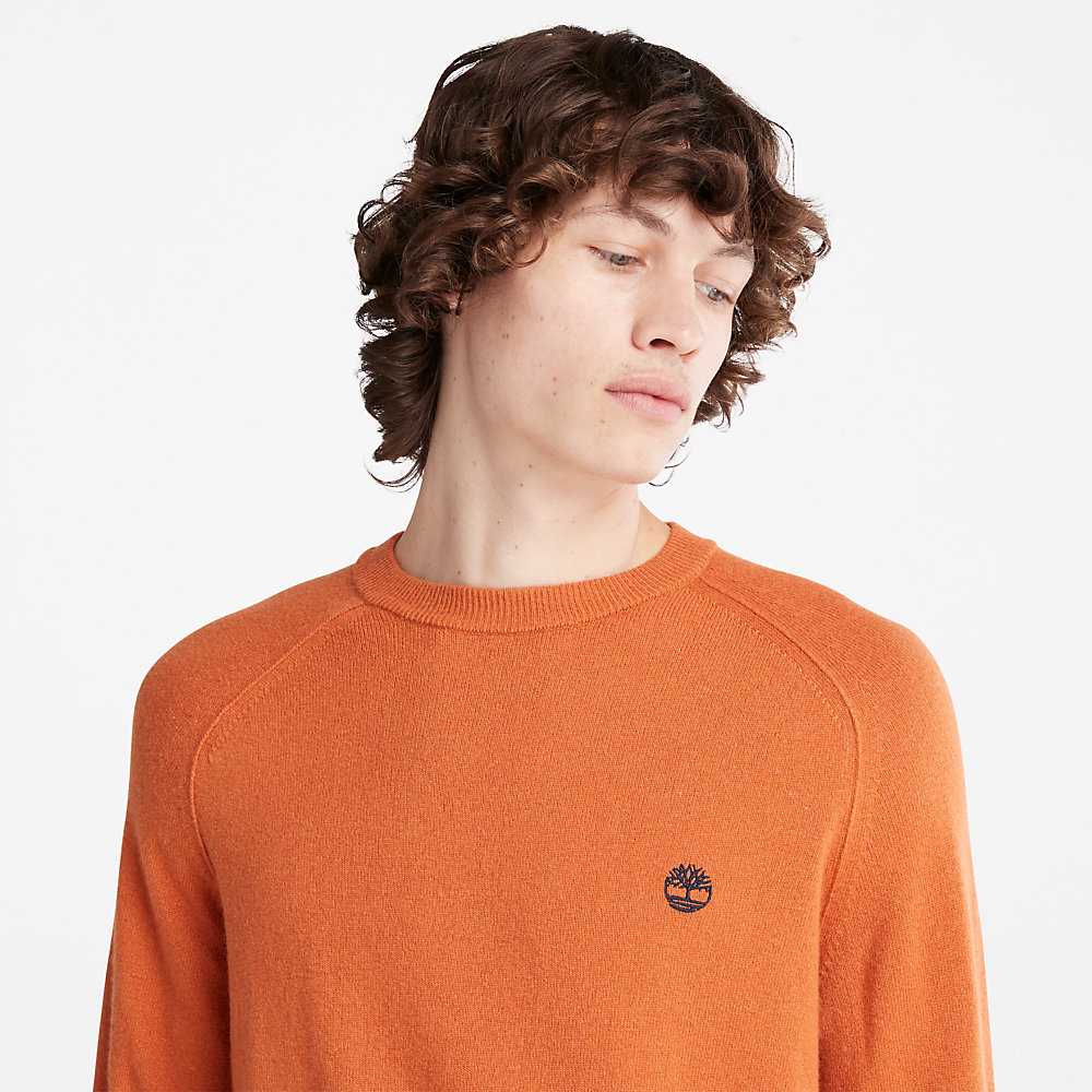 Orange Men's Timberland Crewneck Sweatshirt | Israel-0763851