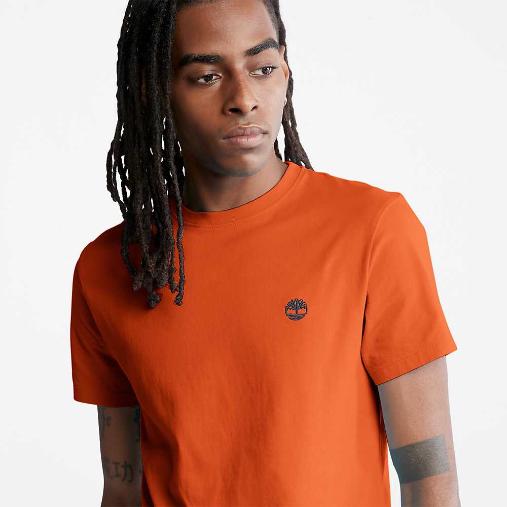 Orange Men's Timberland Dunstan River T Shirts | Israel-0541872