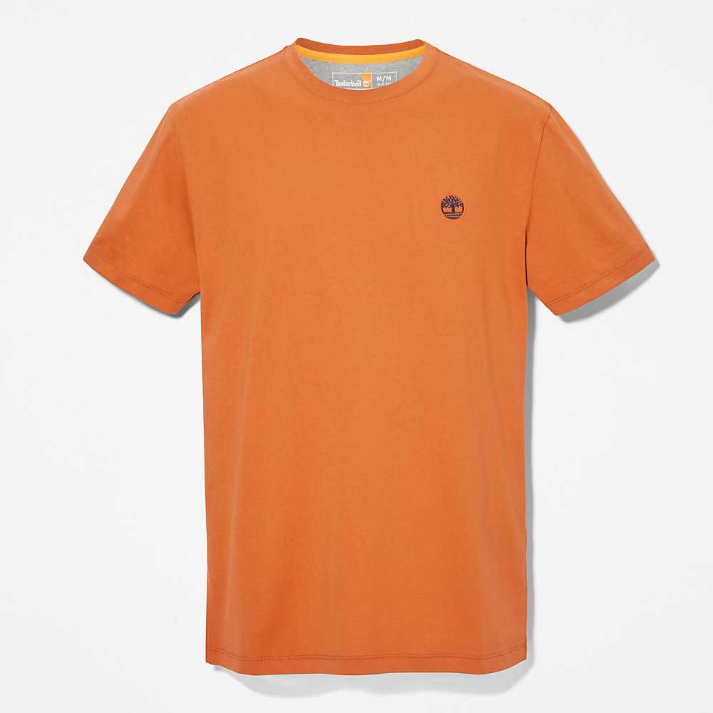 Orange Men's Timberland Dunstan River T Shirts | Israel-6731459