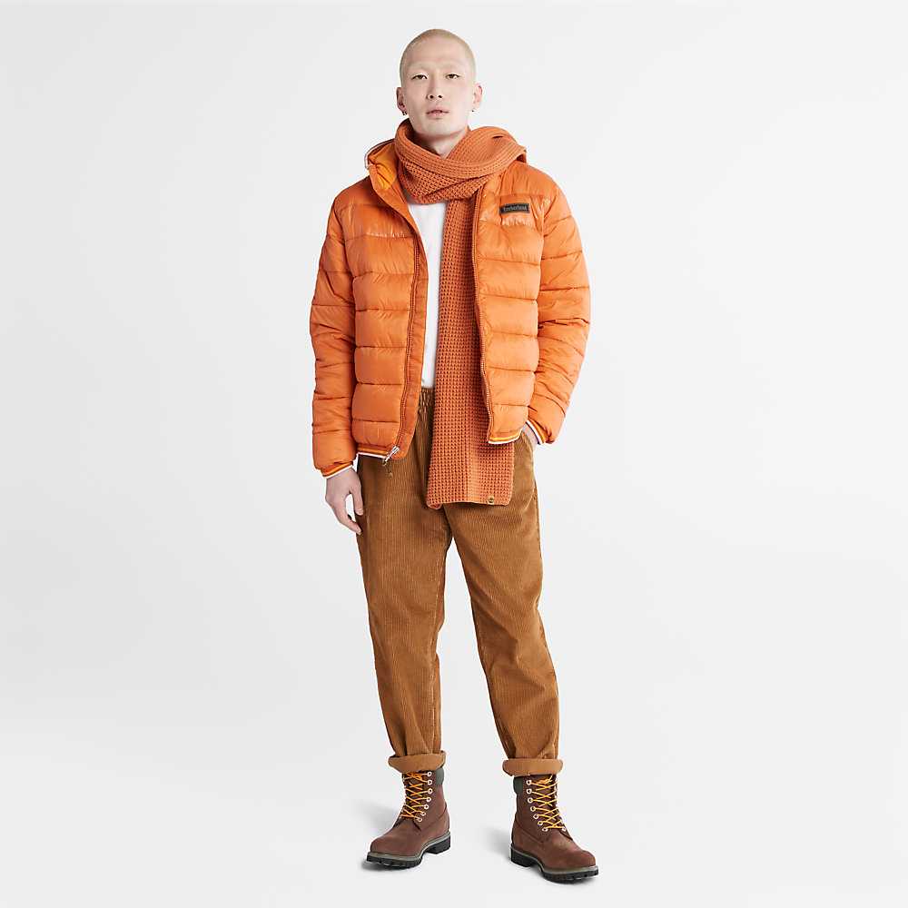 Orange Men's Timberland Garfield Down Jackets | Israel-3962174