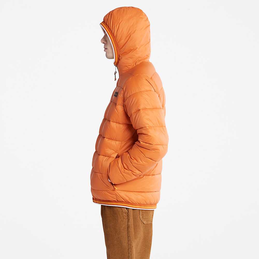 Orange Men's Timberland Garfield Down Jackets | Israel-3962174