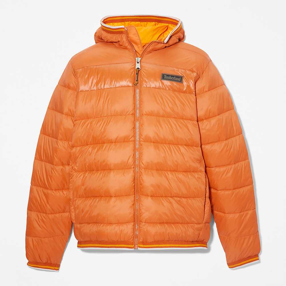 Orange Men's Timberland Garfield Down Jackets | Israel-3962174