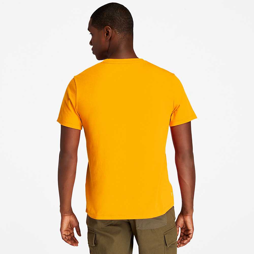 Orange Men's Timberland Kennebec River T Shirts | Israel-2431678