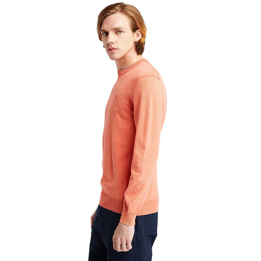 Orange Men's Timberland Lightweight Washed Sweatshirt | Israel-5389042