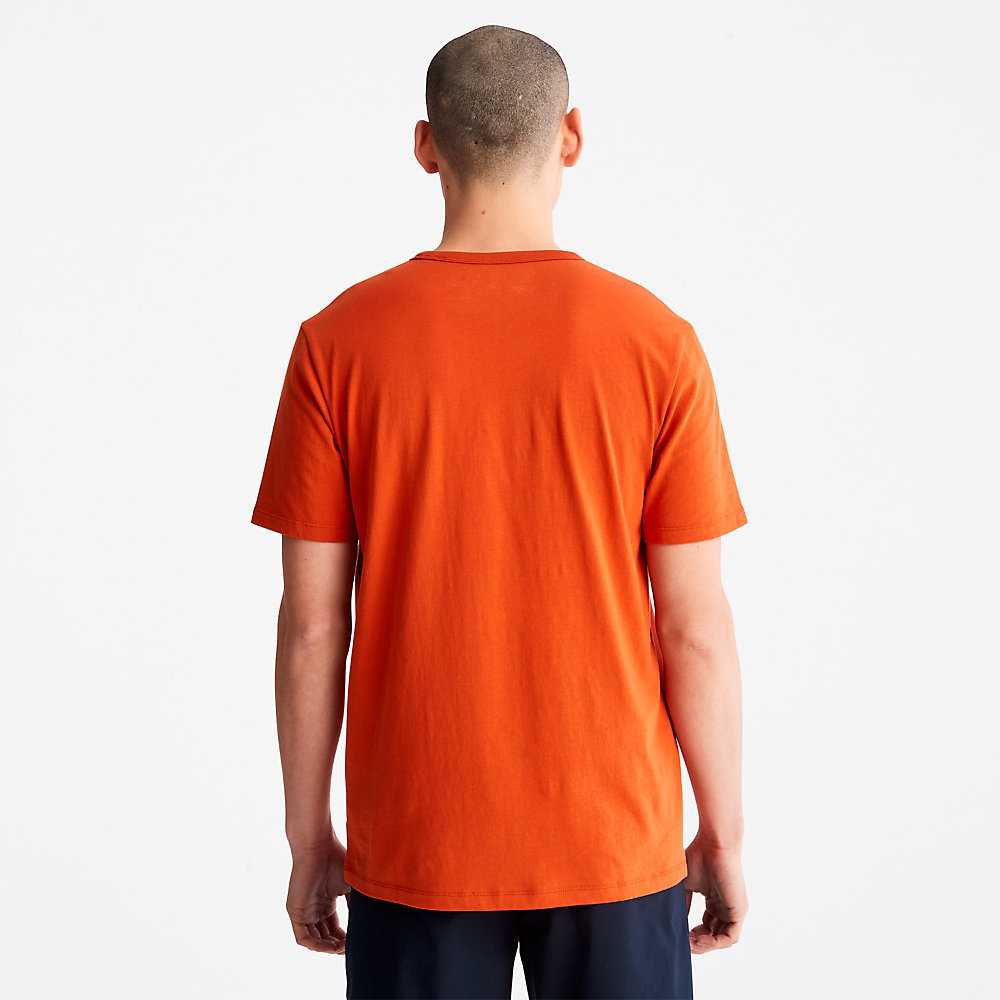 Orange Men's Timberland Mountains-to-Rivers T Shirts | Israel-3265498