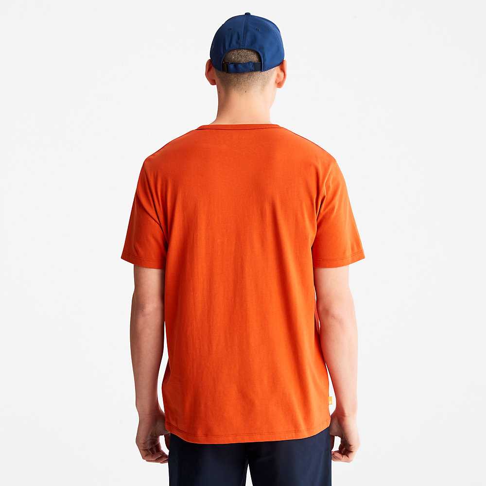 Orange Men's Timberland Mountains-to-Rivers T Shirts | Israel-8675392