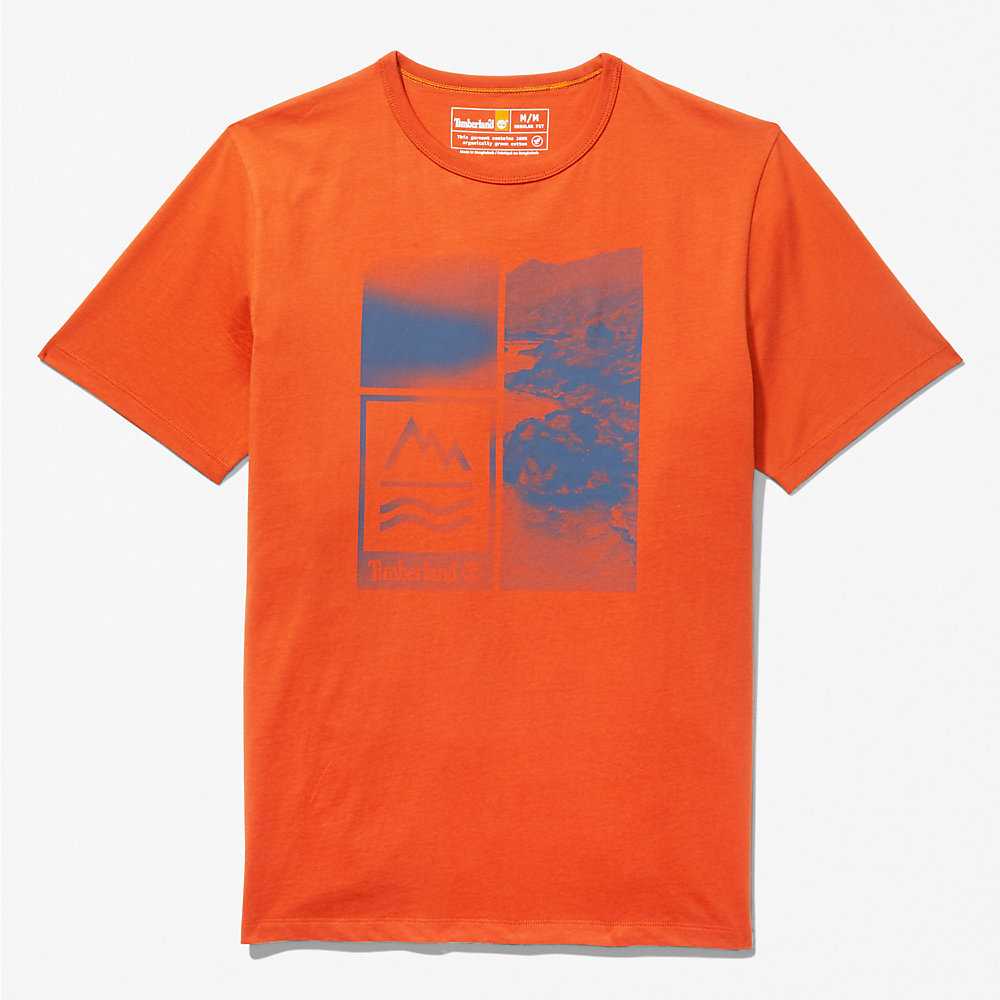 Orange Men's Timberland Mountains-to-Rivers T Shirts | Israel-8675392