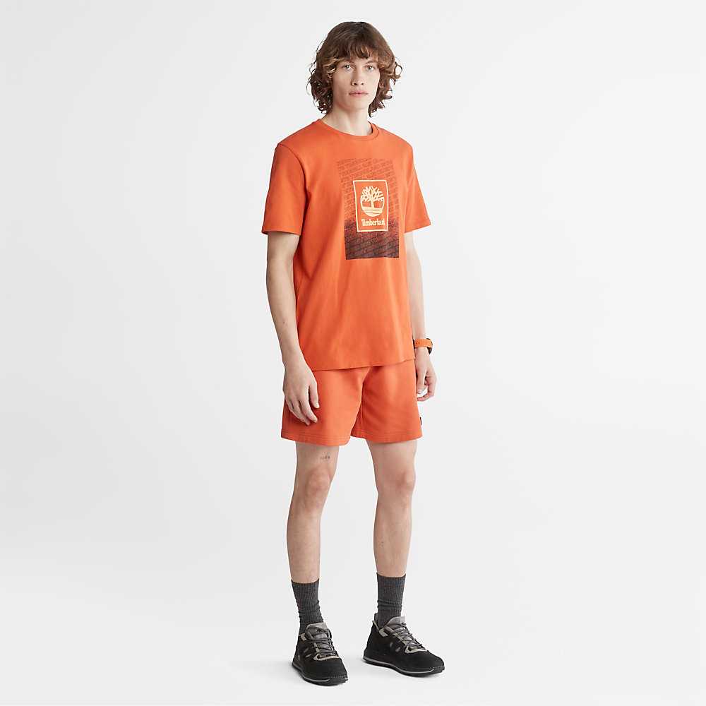 Orange Men's Timberland Outdoor Archive T Shirts | Israel-0874932