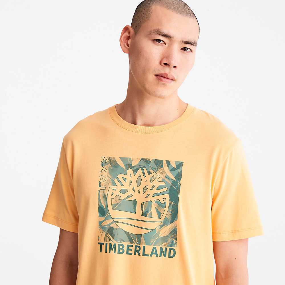 Orange Men's Timberland Refibra™ T Shirts | Israel-7283916