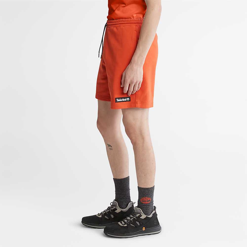 Orange Women's Timberland All Gender Sweat Shorts | Israel-5463829