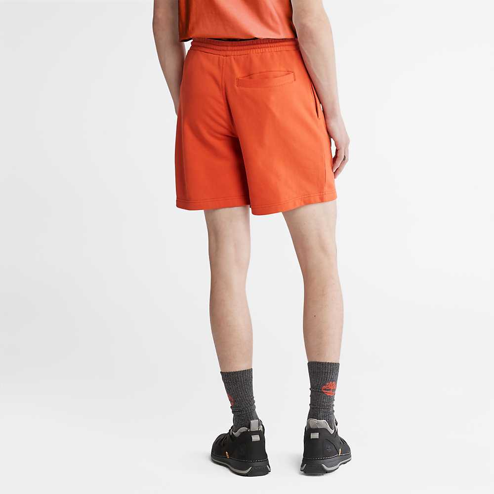 Orange Women's Timberland All Gender Sweat Shorts | Israel-5463829