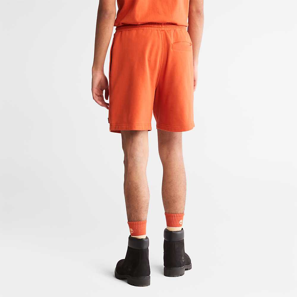 Orange Women's Timberland All Gender Sweat Shorts | Israel-5463829