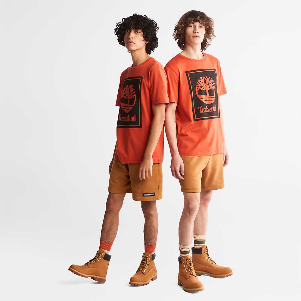 Orange Women's Timberland Tree Logo T Shirts | Israel-0749628