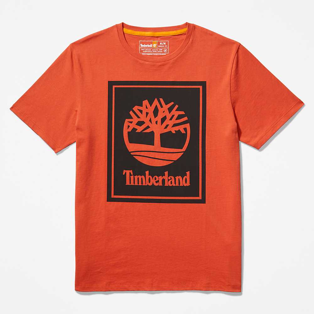 Orange Women's Timberland Tree Logo T Shirts | Israel-0749628