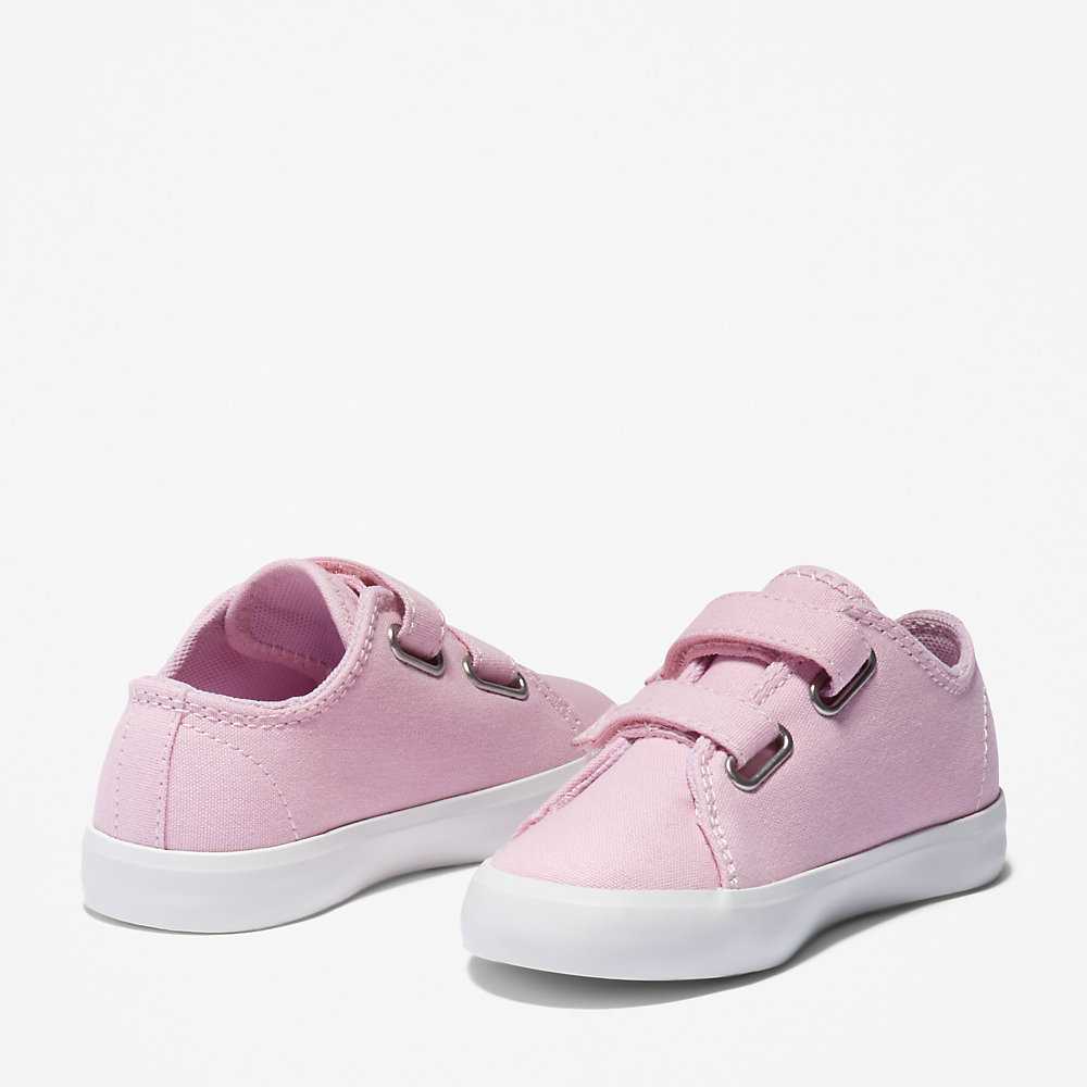 Pink Kids' Timberland Newport Bay Sneakers | Israel-4219660