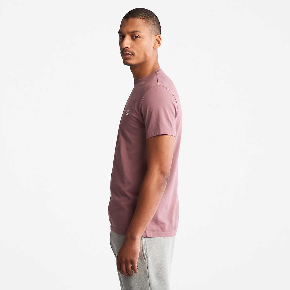 Pink Men's Timberland Dunstan River T Shirts | Israel-7406531