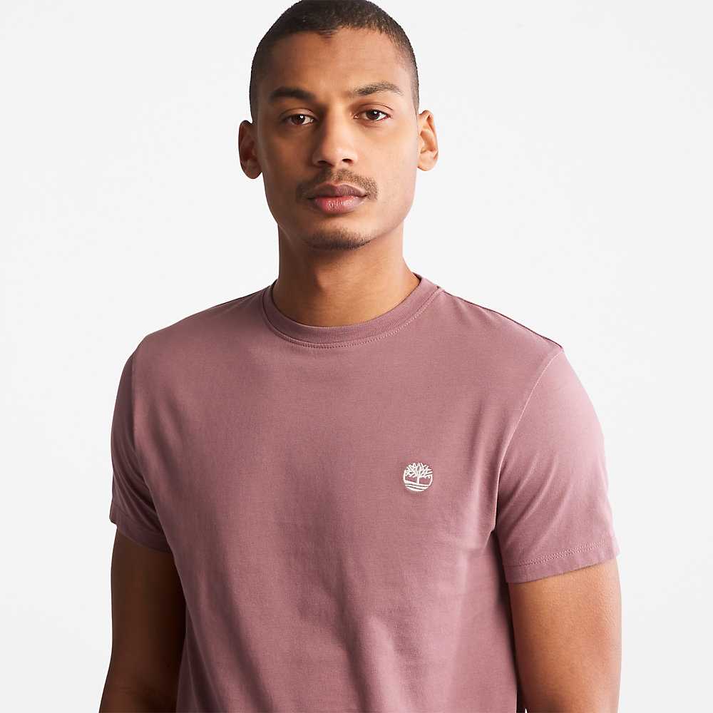 Pink Men's Timberland Dunstan River T Shirts | Israel-7406531