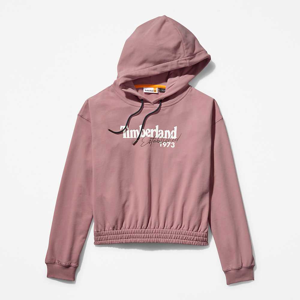 Pink Women's Timberland Established 1973 Hoodie | Israel-2819546