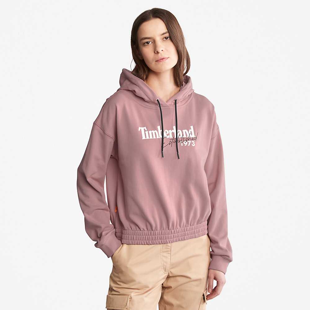 Pink Women\'s Timberland Established 1973 Hoodie | Israel-2819546