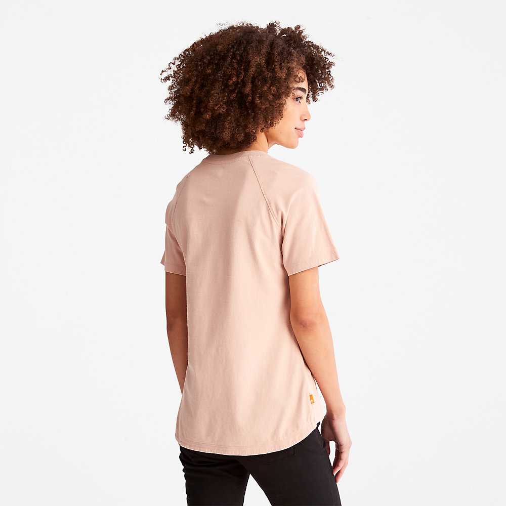 Pink Women's Timberland Raglan-sleeve Logo T Shirts | Israel-7192380