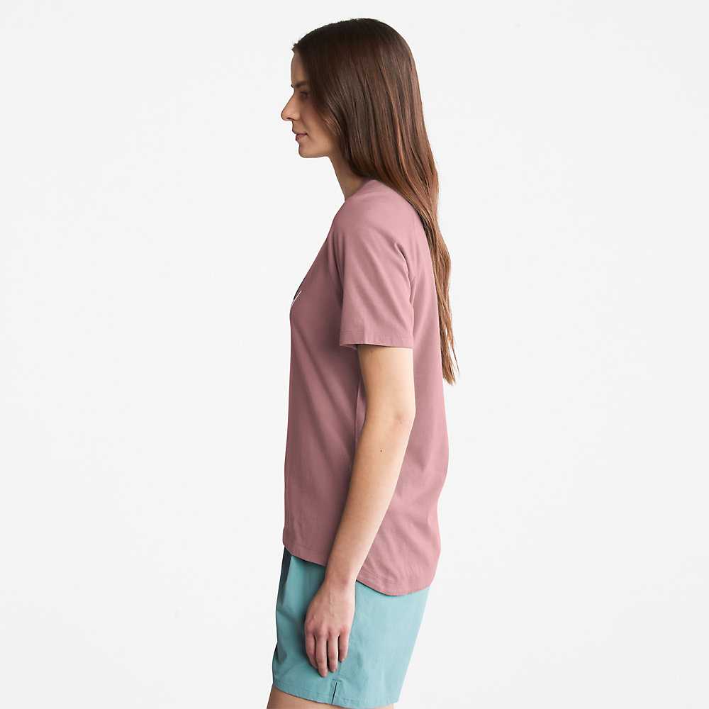 Pink Women's Timberland Raglan-sleeve Logo T Shirts | Israel-7594623