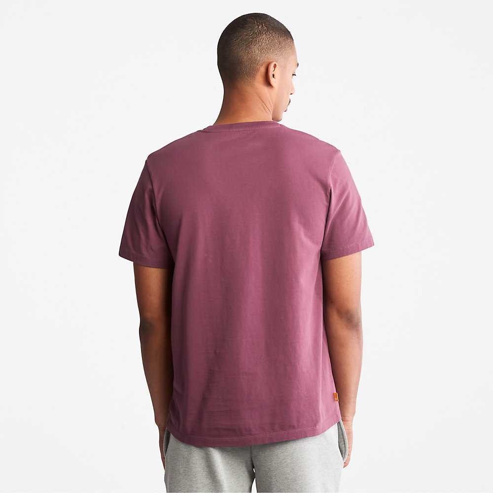 Purple Men's Timberland Kennebec River T Shirts | Israel-5498360