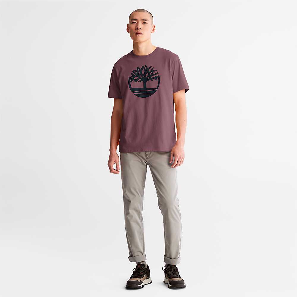 Purple Men's Timberland Kennebec River T Shirts | Israel-7980312